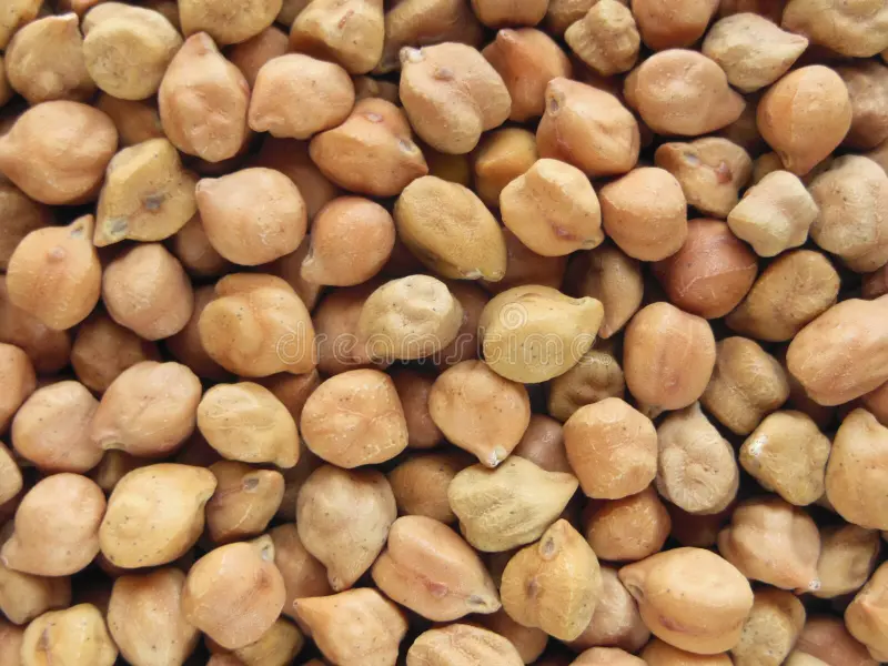 Dried Chickpeas
