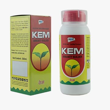 MBF KEM IMMUNITY BUILLDER 100ML
