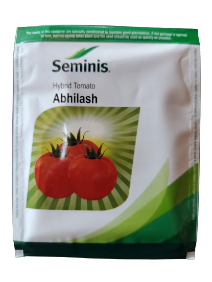 Seminins Abhilash Hybrid Tamato Seeds 10g (Pack of 1)