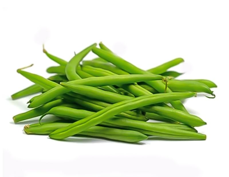 Growtime Bush Beans Vegetable Seed, Vegetable Seeds for Home Gardening, Vegetable Planting Seeds for Kitchen, Bush Beans Seed (Pack of 20g) (Green) - Image 3