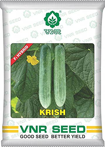 VNR SEEDS Krish Hybrid F1 Quality Cucumber Seeds 10Gm - Khira