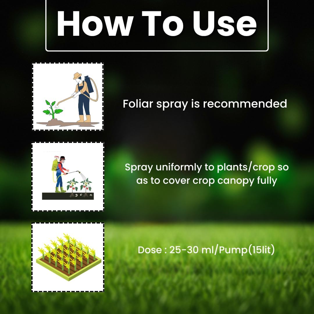 Katyayani Pro Grow Plant Growth Regulator | Gibberellic Acid 0.001% | Supports Seed Germination, Flowering & Fruiting | Helps Improve Crop Growth, Yield & Quality | 750ML (250ML X 3) - Image 2