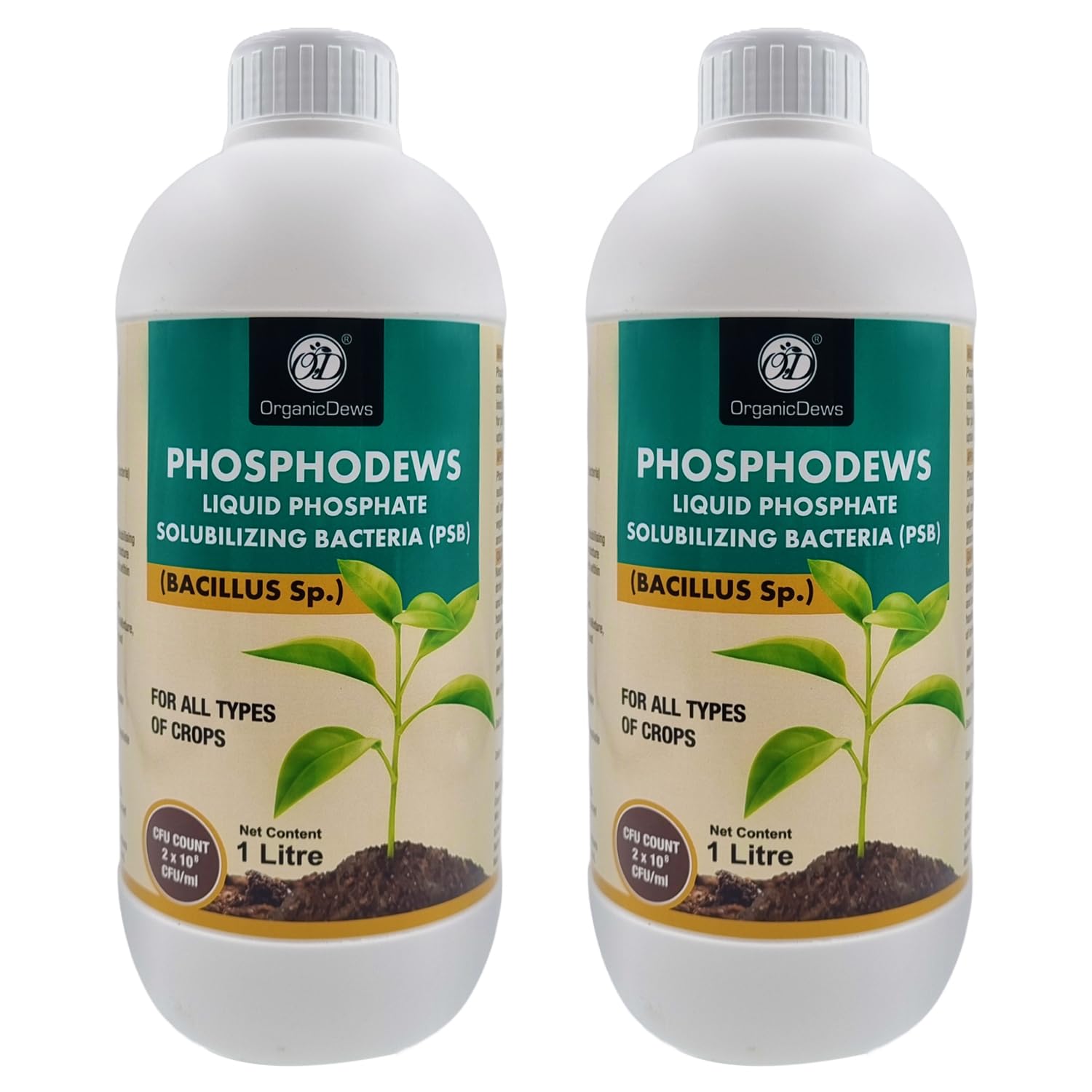 OrganicDews Phosphate Solubilizing Bacteria PSB (2x10^8 CFU/ML) Bio Inoculum Fertilizer (2 litre) for Plants - Faster Root Growth and Better Nutrient Uptake - Phosphodews 2 Litre