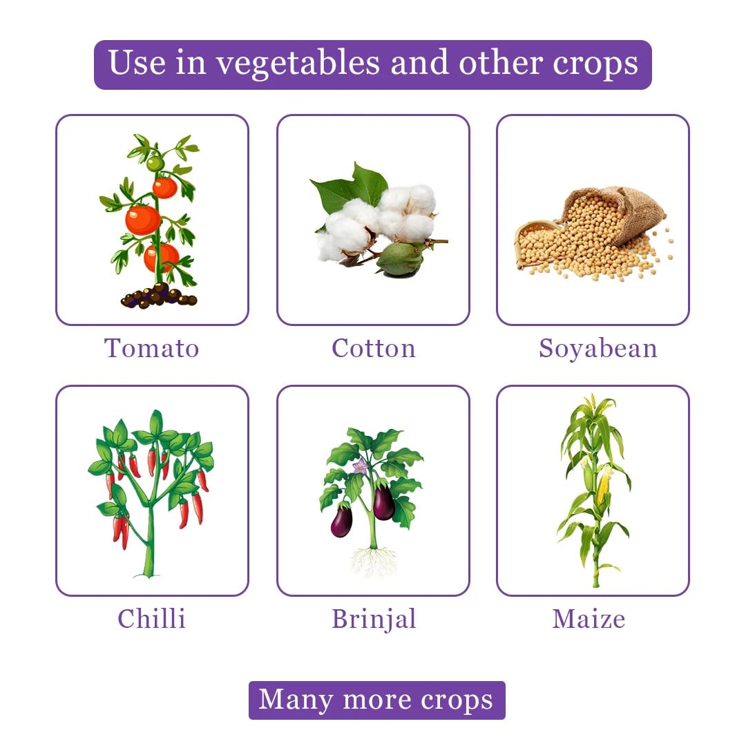 New Coaragen 30ml (Chlorantraniliprole 18.5% SC) | Broad-Spectrum Insecticide | Effective Crop Protection for Lepidopteran Pests | Advanced SC Formulation - Image 4