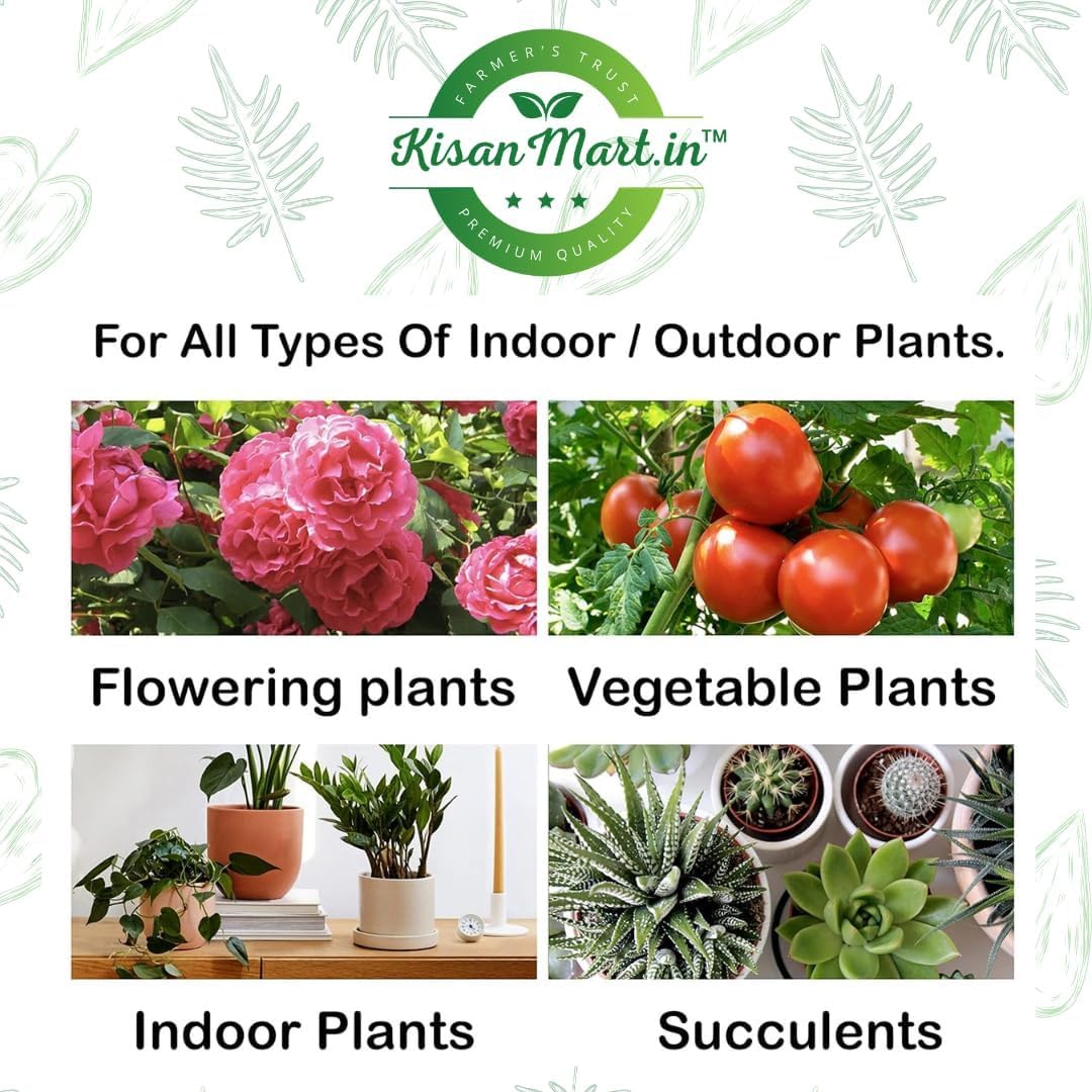 New Coaragen 30ml (Chlorantraniliprole 18.5% SC) | Broad-Spectrum Insecticide | Effective Crop Protection for Lepidopteran Pests | Advanced SC Formulation - Image 2