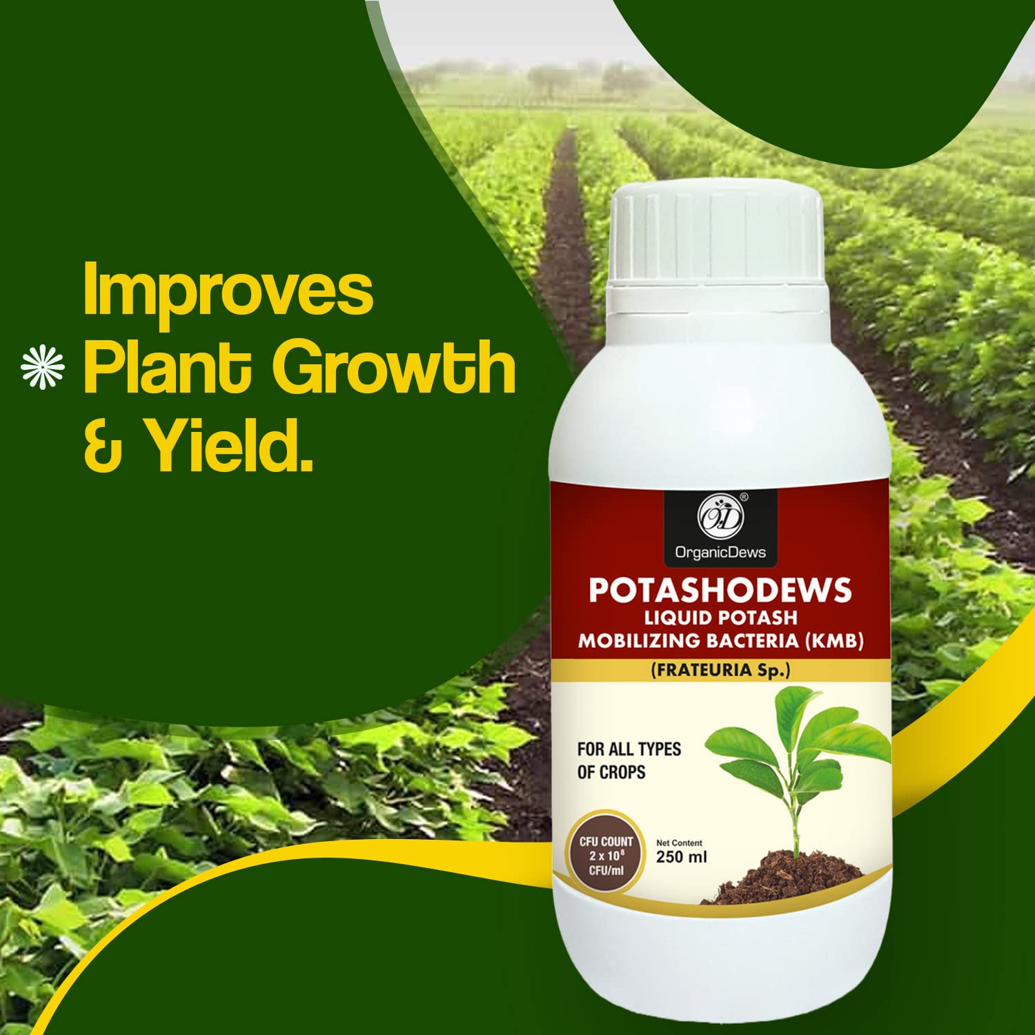 OrganicDews Potash Mobilizing Bacteria (2x10^8 CFU/ML) Bio Inoculum Fertilizer (250 ml) for Plants - Faster Root Growth, Improve Quality Flower and Fruits 250 ml - Image 6