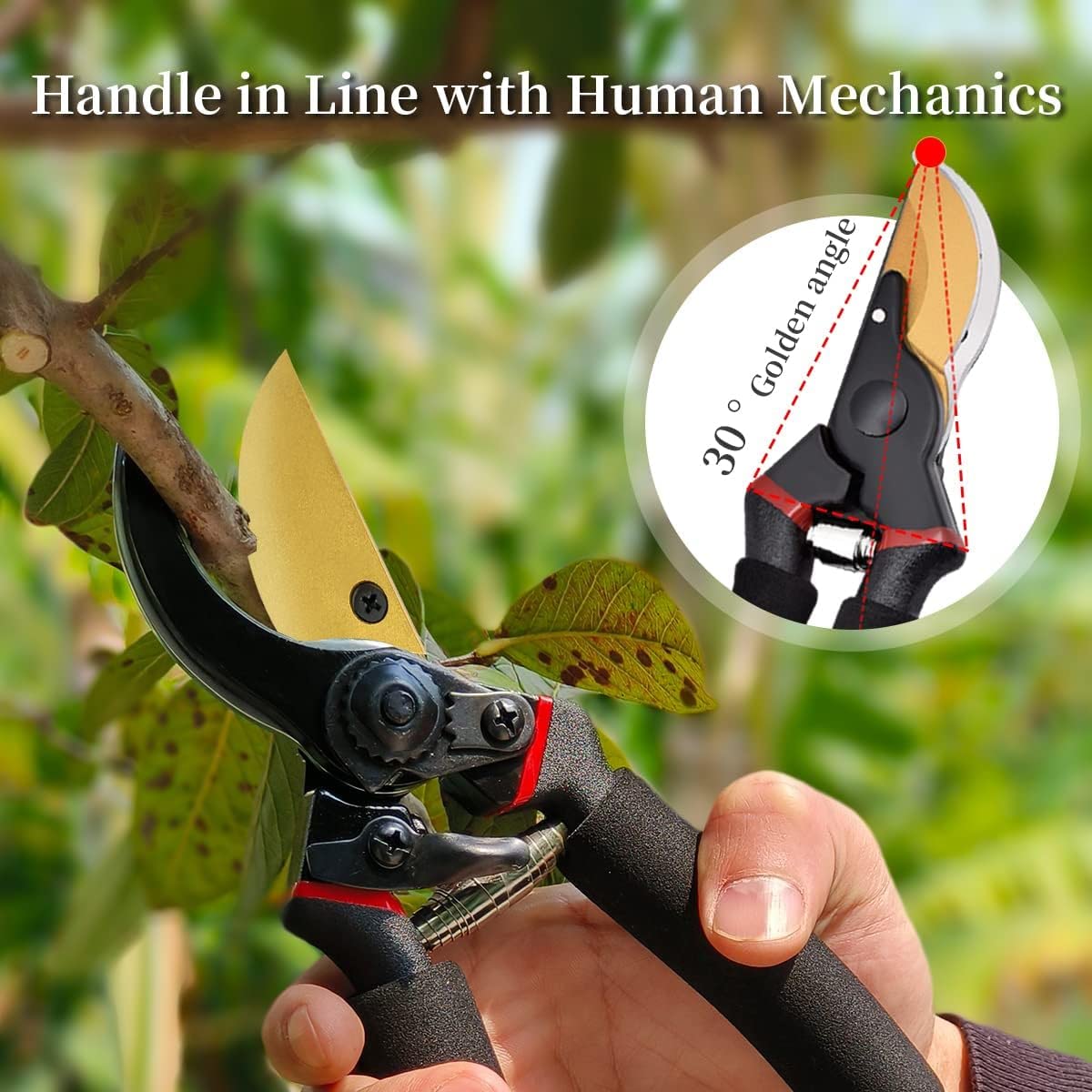 MeSwan 8-Inch Professional Bypass Pruning Shears – Titanium Coated SK5 Steel Secateurs with Soft Foam Cushion Grip – Heavy Duty Garden Scissors & Plant Cutter for Branches, Stems & Roses - Image 7