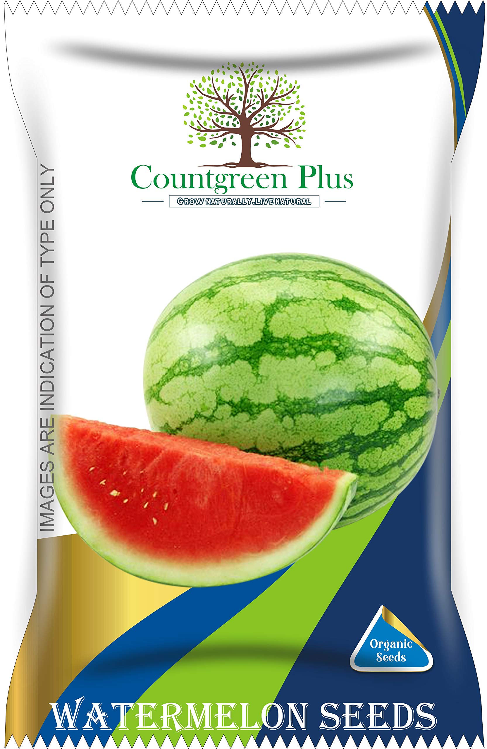 Countgreen Plus Organic Watermelon Seeds (Tarbuj) – Pack of 50 Non-Hybrid Fruit Planting Seeds, Ideal for Growing Juicy, Sweet Watermelons