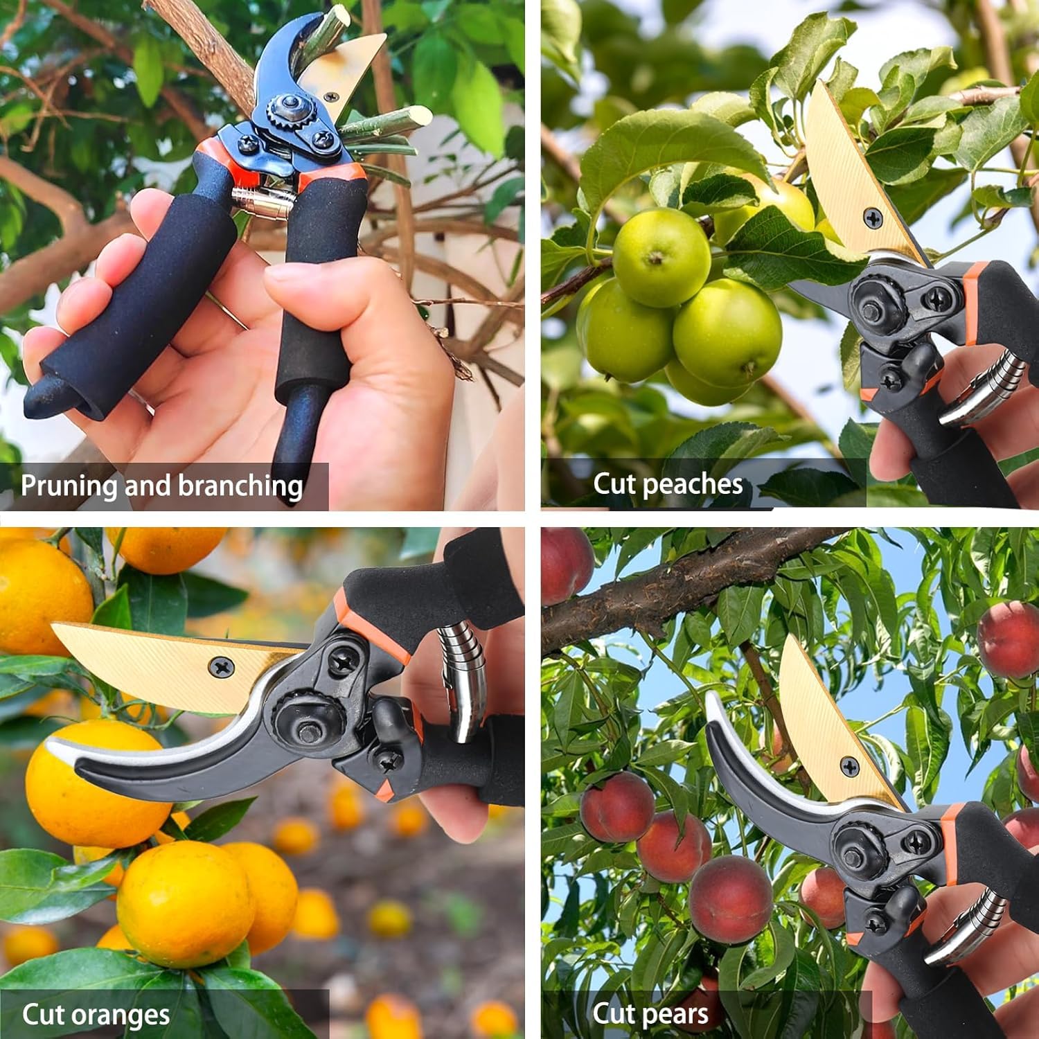 MeSwan 8-Inch Professional Bypass Pruning Shears – Titanium Coated SK5 Steel Secateurs with Soft Foam Cushion Grip – Heavy Duty Garden Scissors & Plant Cutter for Branches, Stems & Roses - Image 5