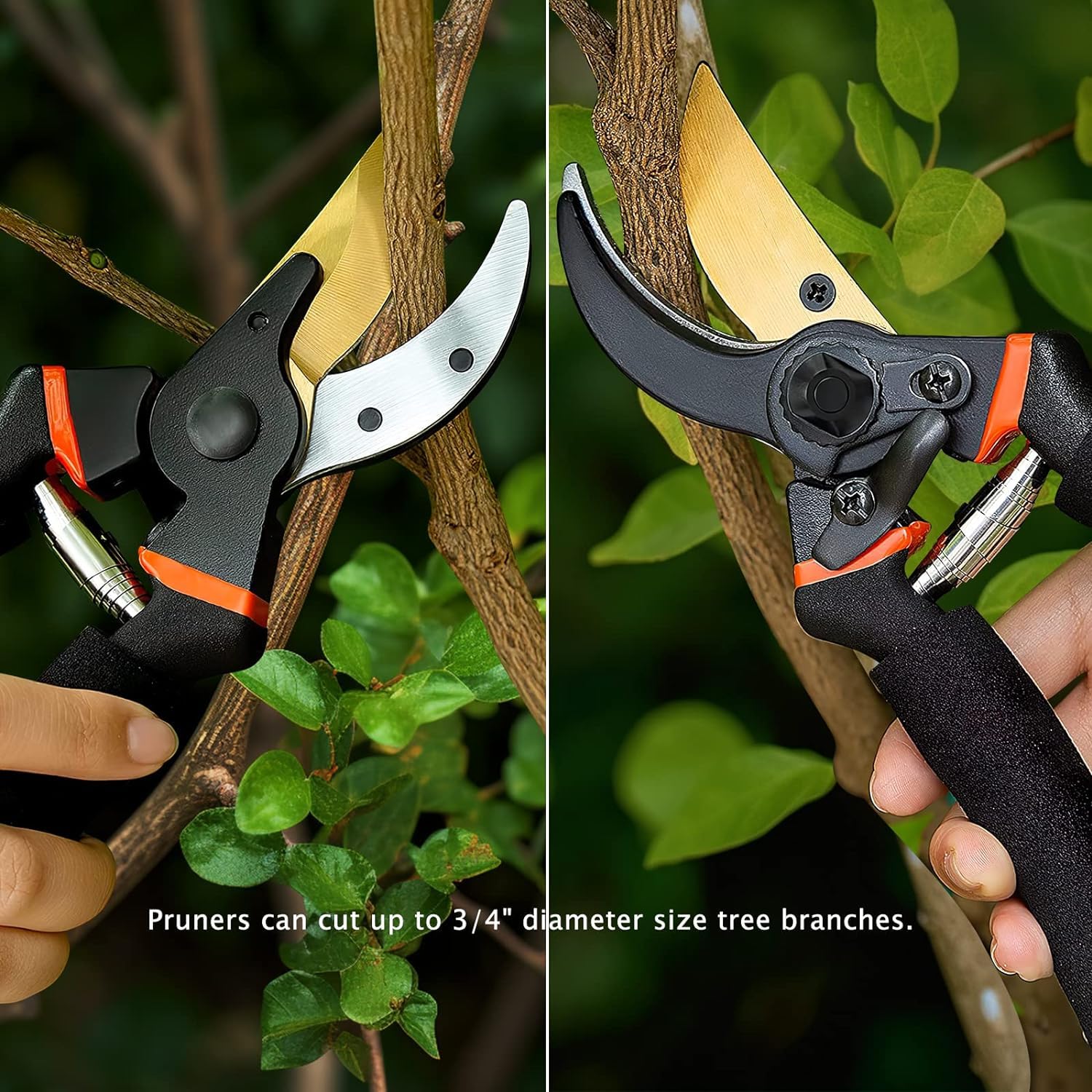 MeSwan 8-Inch Professional Bypass Pruning Shears – Titanium Coated SK5 Steel Secateurs with Soft Foam Cushion Grip – Heavy Duty Garden Scissors & Plant Cutter for Branches, Stems & Roses - Image 3
