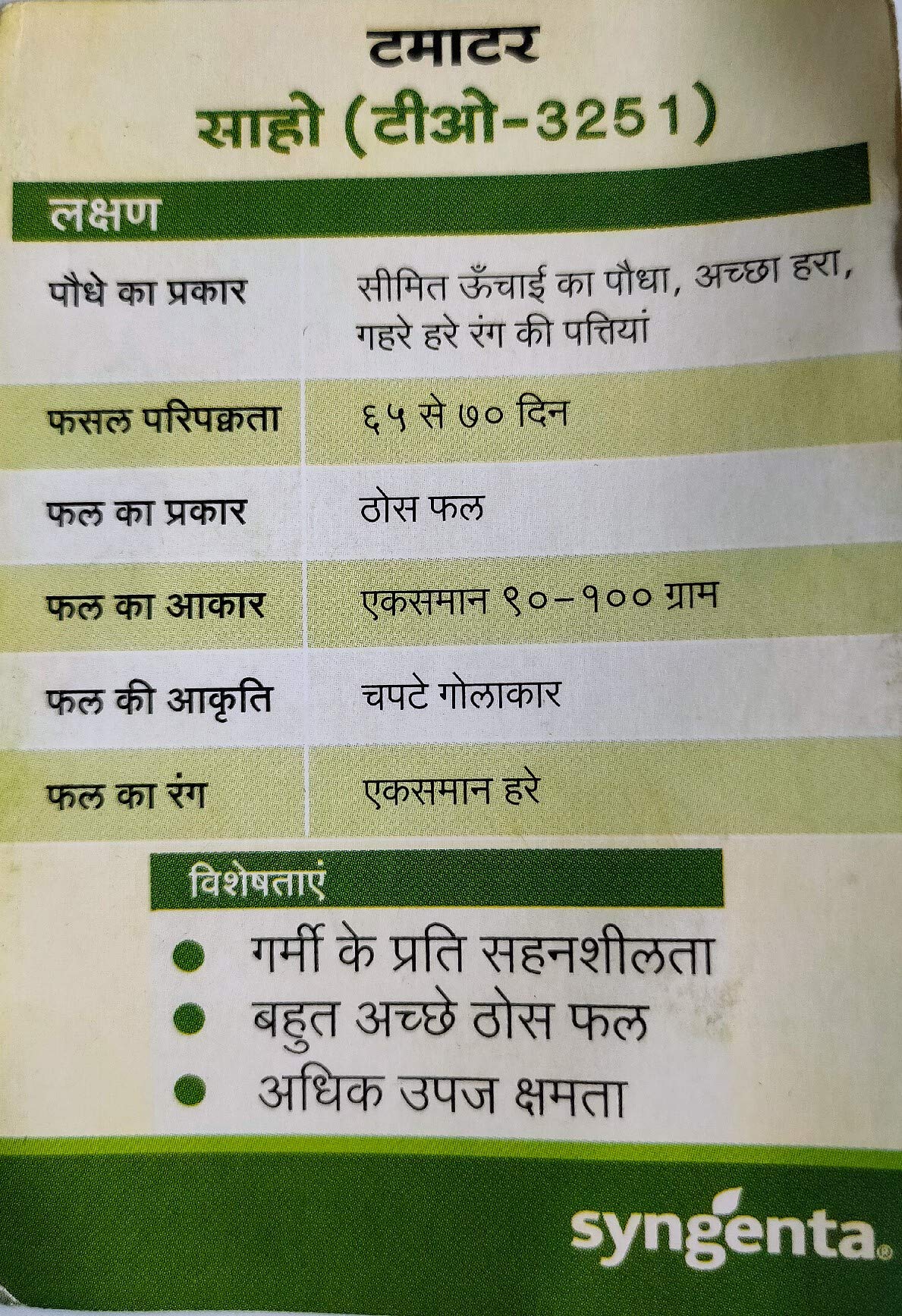 Syngenta Saaho (TO-3251) Hybrid Tomato seeds, 3500SD packing - Image 7