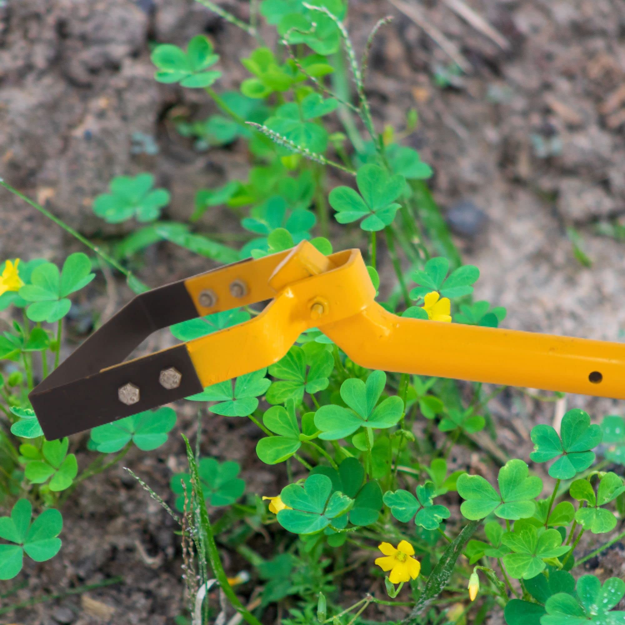 Yuvismart Weeder with Handle | Hand Weeder Tool with 4.5 feet Handle & 6.5 inch Blade Helps You Remove The Weed Easily | Weed Remover Tool - Image 3