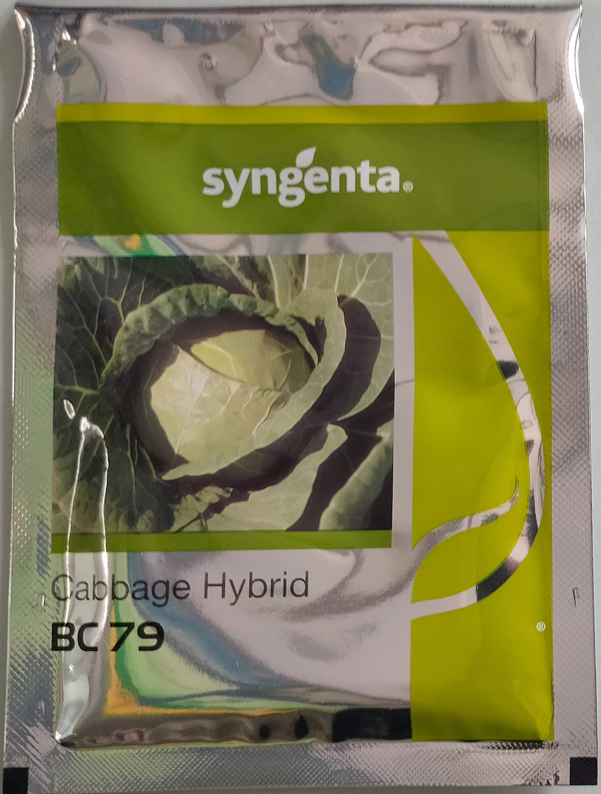 Syngenta Cabbage BC-79 2000SD, Hybrid quality seed