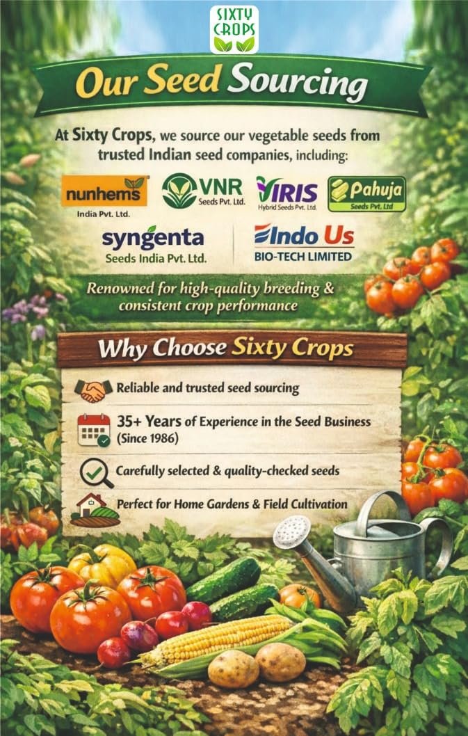 Summer Vegetable (Approx. 50 seeds) F1 Hybrid Seeds Kit | Lauki, Kali Tori, Gheeya Tori & Bhindi Seeds | High Yield Kitchen Garden Seeds - Image 2